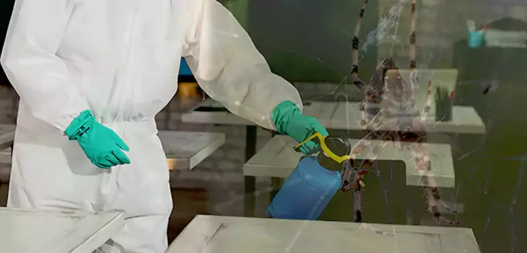Why Buyers Still Want Homes With Pest Infestations in Dallas, TX?